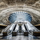 Illustration for article titled 41 More Amazing Photos From the Sony World Photography Awards